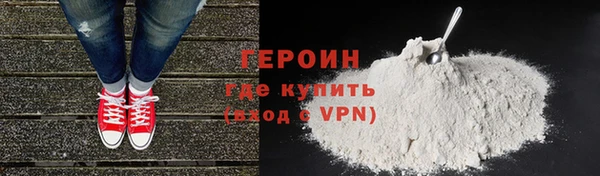 шишки Няндома