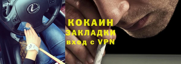 шишки Няндома