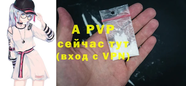 шишки Няндома