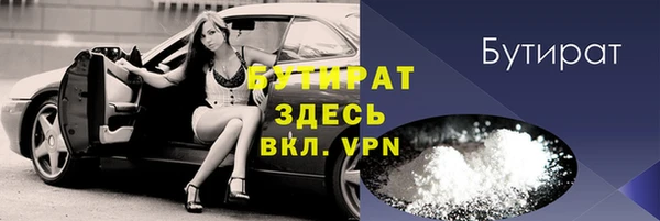 шишки Няндома