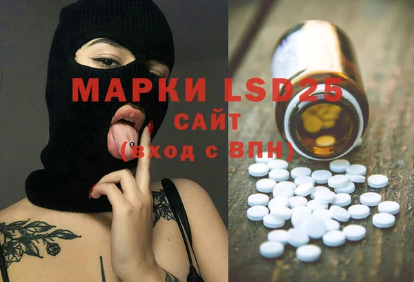 гашик Осинники