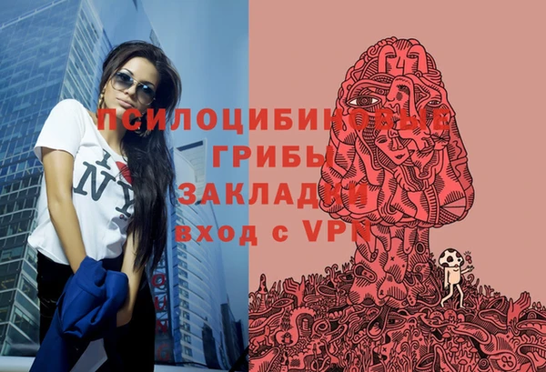 гашик Осинники
