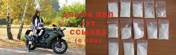 гашик Осинники