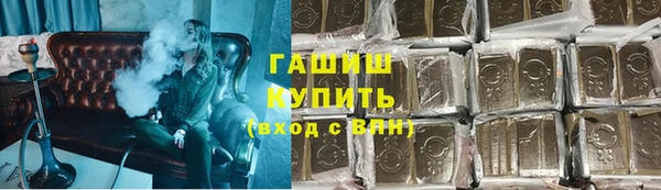 шишки Няндома